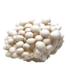 Ciuperci Shimeji albe 150 g